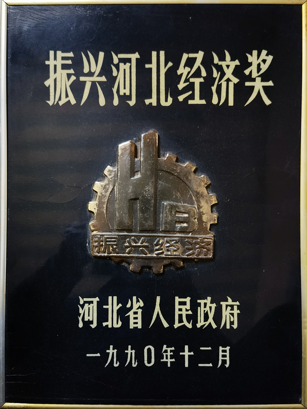 Revitalizing Hebei Economy Award